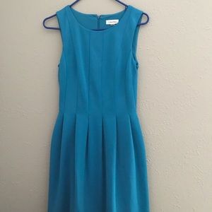 Gorgeous Calvin Klein Women’s Dress
